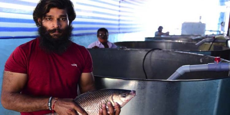 Hyderabadis can order for live, healthy fishes here