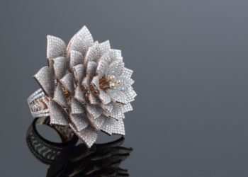 The Divine – 7801 Brahma Vajra Kamalam