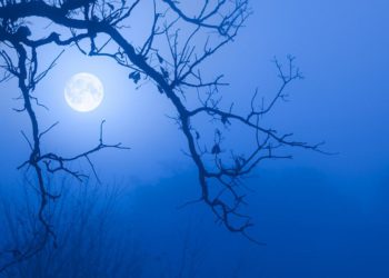 Representational Image