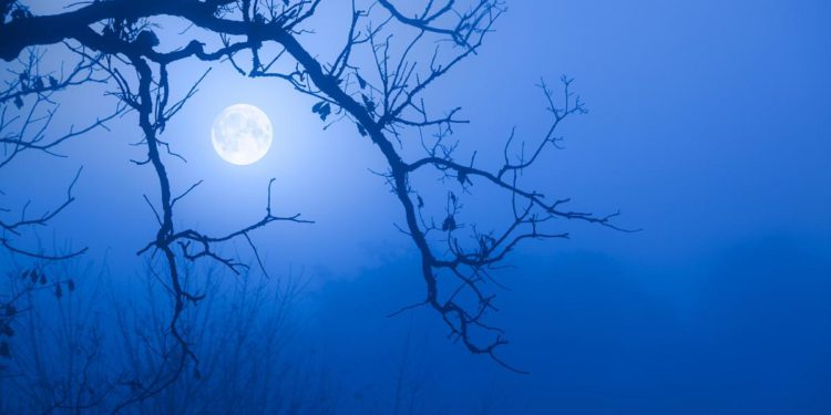 Representational Image