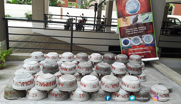 Animal Water bowl project