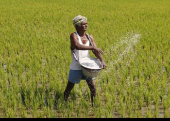 Tech, reforms will help raise farmers' income