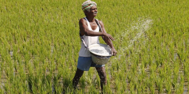 Tech, reforms will help raise farmers' income