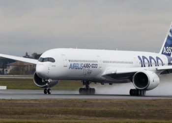 Hyderabad-Chicago flight