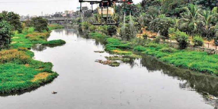 Five new bridges to come up over Musi river