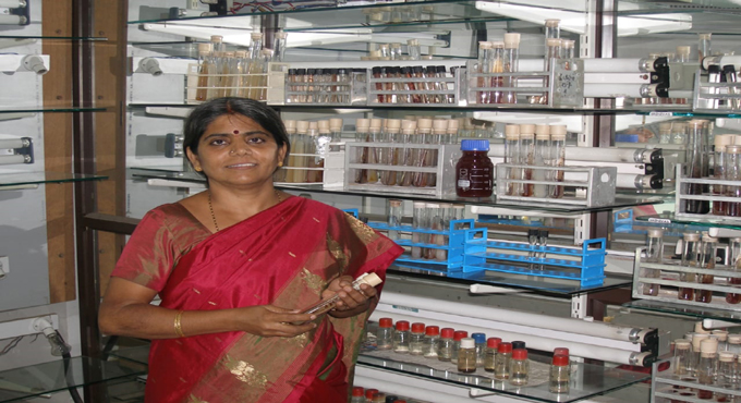 National award for JNTU-H professor