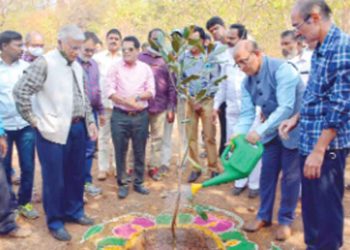 Hyderabad: Bio-diversity park to be fully developed