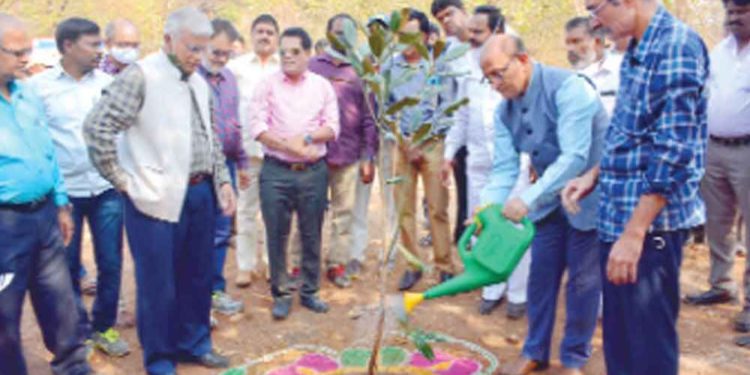 Hyderabad: Bio-diversity park to be fully developed