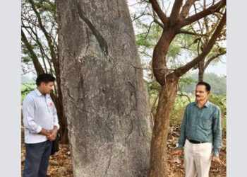‘Pillar of blood’ megalith seeks attention
