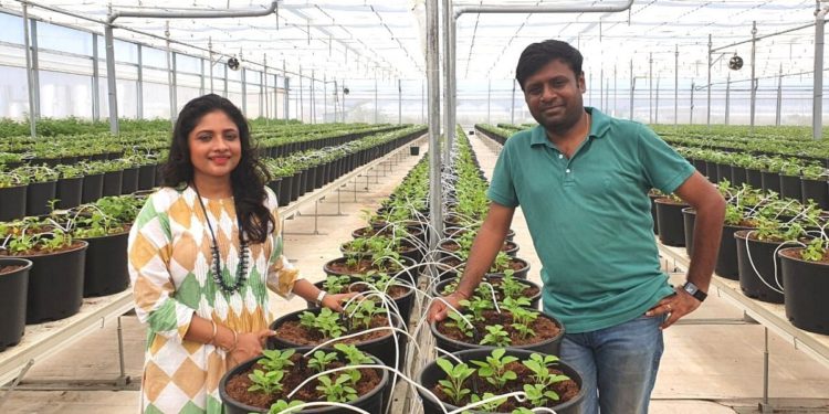 Hyderabad Couple Builds HiTech Farm, Can Produce Upto 8000 Kgs of Veggies Per Day
