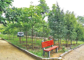 This Independence Day, walk into any HMDA park in Hyderabad without entry fee