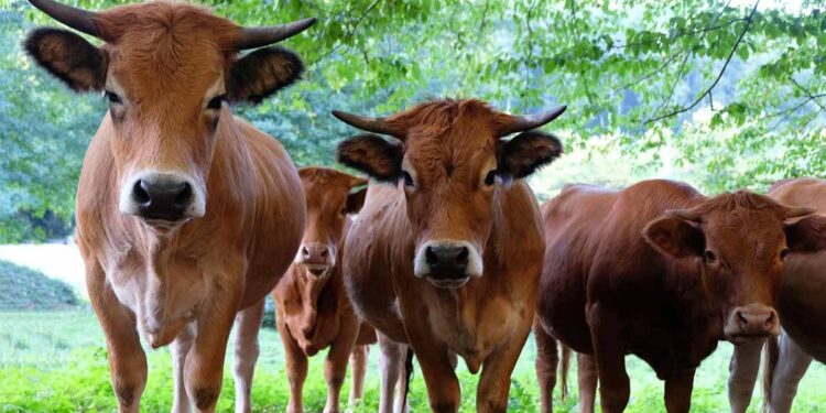 Think global and come with world-class products: KTR to students