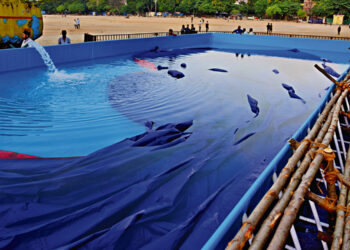 Ganesh Chaturthi: GHMC commences installation of portable immersion ponds