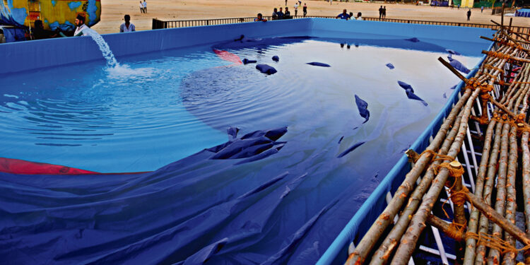 Ganesh Chaturthi: GHMC commences installation of portable immersion ponds