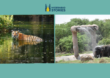 Hyderabad’s zoo has taken steps to address the challenges of high summer temperatures.
