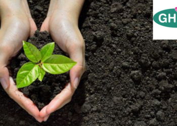 GHMC is gearing up to plant 30 lakh saplings throughout Hyderabad.