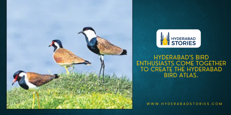 Hyderabad’s bird enthusiasts come together to create the Hyderabad Bird Atlas.
