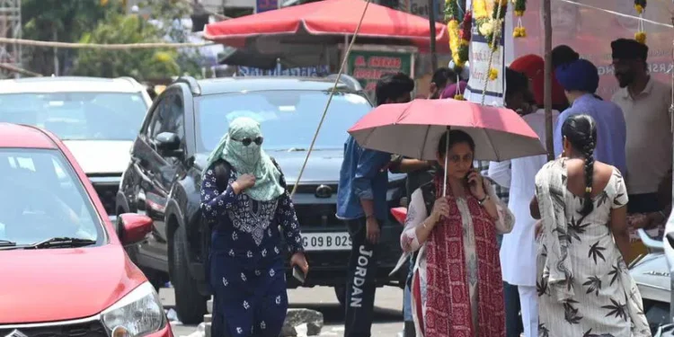 The Glass Cauldron: Why Hitec City is Sizzling at 48°C While Jubilee Hills Stays Cool